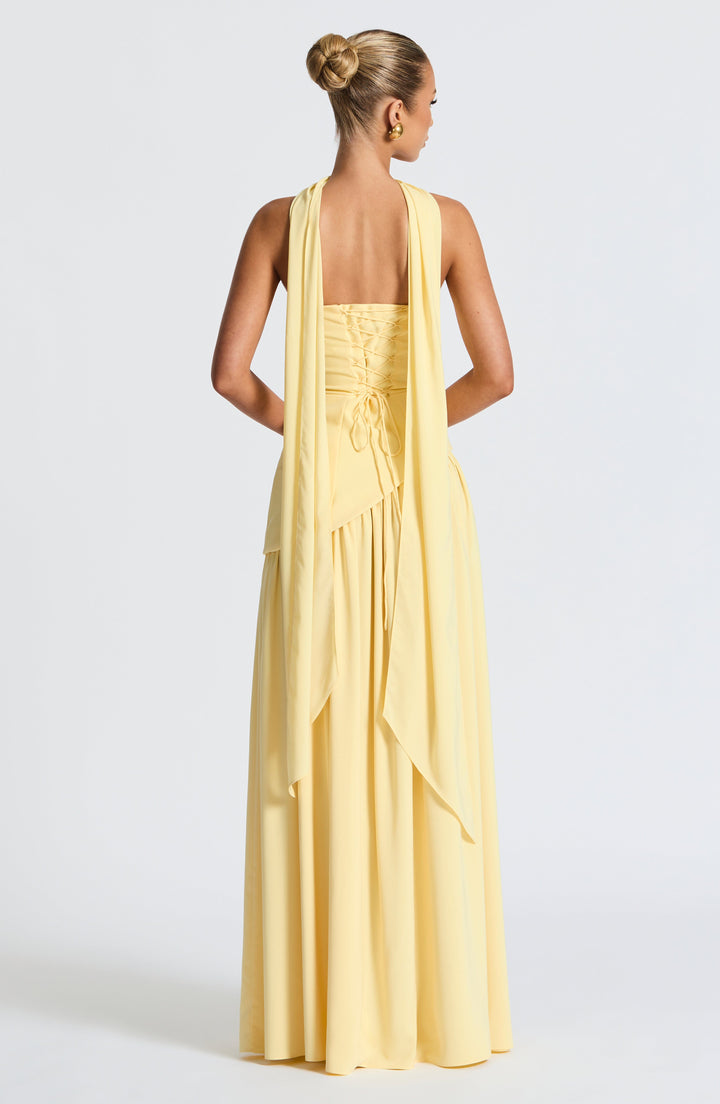Bronte - Elegant Backless Pleated Maxi Dress